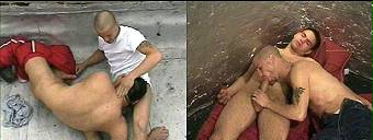 amateur porn