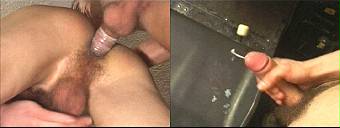 porn videos